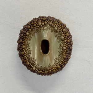 Form 68 (OMGR68)