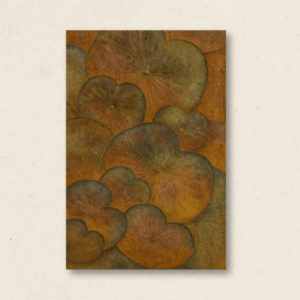 Multi-Layered Overlapping Rounds (Portrait & Landscape) (#LLA001)