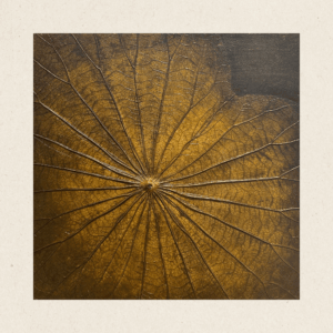 The Singular Leaf Edit Free Form (#LLA3003)