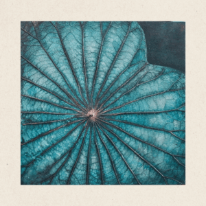 The Singular Leaf Edit Free Form (#LLA3005)