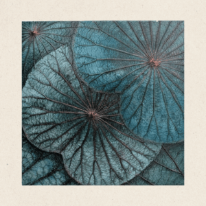 Multi-Layered Leaves (#LLA3006)