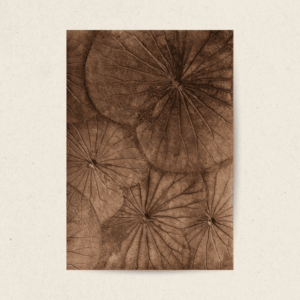 Webbed Rounds (#LLCP:0002)