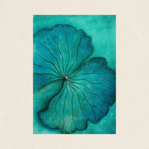 The Singular Leaf Edit Free Floating Form (#LLCP:0004)