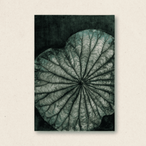 The Singular Leaf Edit (#LLCP:0008)
