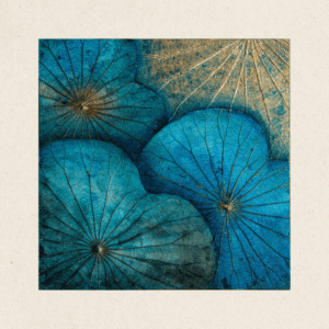Multi-Layered Leaves (#LLCP:0013)