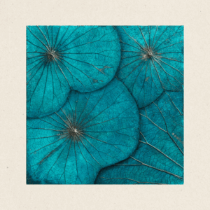 Layered Composition (#LLCP:0014)