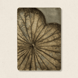 The Singular Leaf Edit (#LLCP:0016)