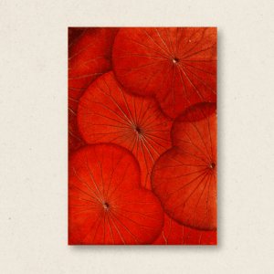 Gradation Leaves (#LLCP:0017)