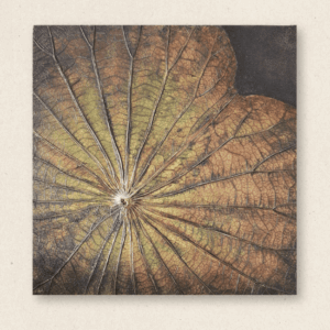 The Singular Leaf Edit (#LLCP:0030)