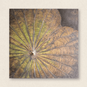 The Singular Leaf Edit (#LLCP:0031)