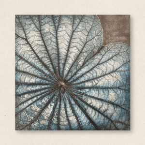 The Singular Leaf Edit (#LLCP:0032)