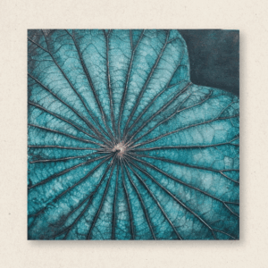 The Singular Leaf Edit (#LLCP:0033)