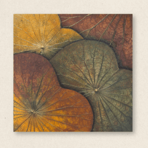 Multi-Layered Leaves (#LLCP:0036)