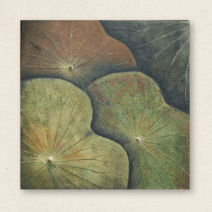 Multi-Layered Leaves (#LLCP:0037)