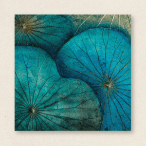 Multi-Layered Leaves (#LLCP:0039)