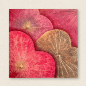 Multi-Layered Leaves (#LLCP:0040)