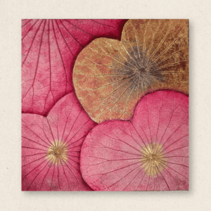 Multi-Layered Leaves (#LLCP:0041)