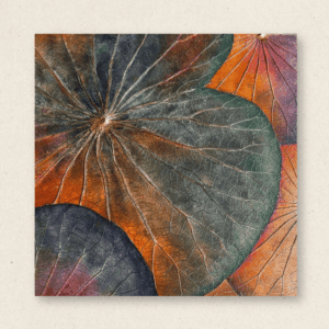 Multi-Layered Leaves (#LLCP:0042)