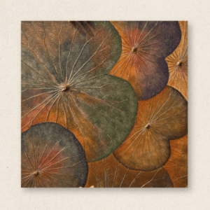 Multi-Layered Leaves (#LLCP:0043)