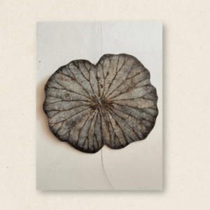 Freedom Lotus Leaf Arrangement (#LLCP:0061)