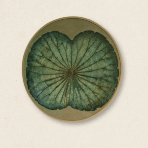 Freedom Lotus Leaf Arrangement (#LLCP:0062)