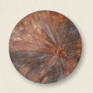 Freedom Lotus Leaf Arrangement (#LLCP:0063)