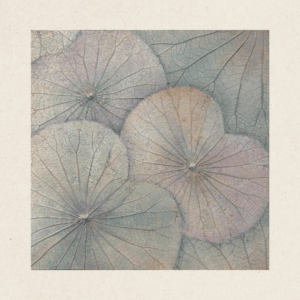 Multi-Layered Leaves (#LLCP:0065)